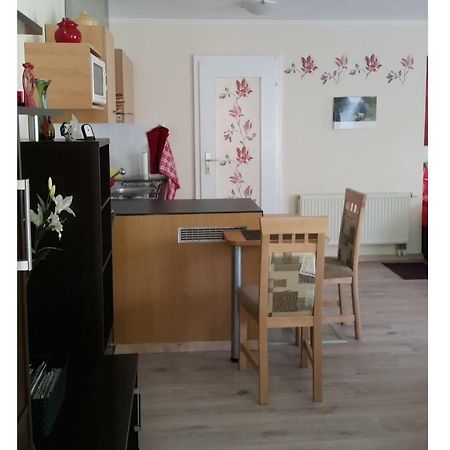 Ferienwohnung Gerlach Drezno Zewnętrze zdjęcie