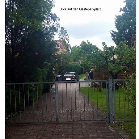 Ferienwohnung Gerlach Drezno Zewnętrze zdjęcie