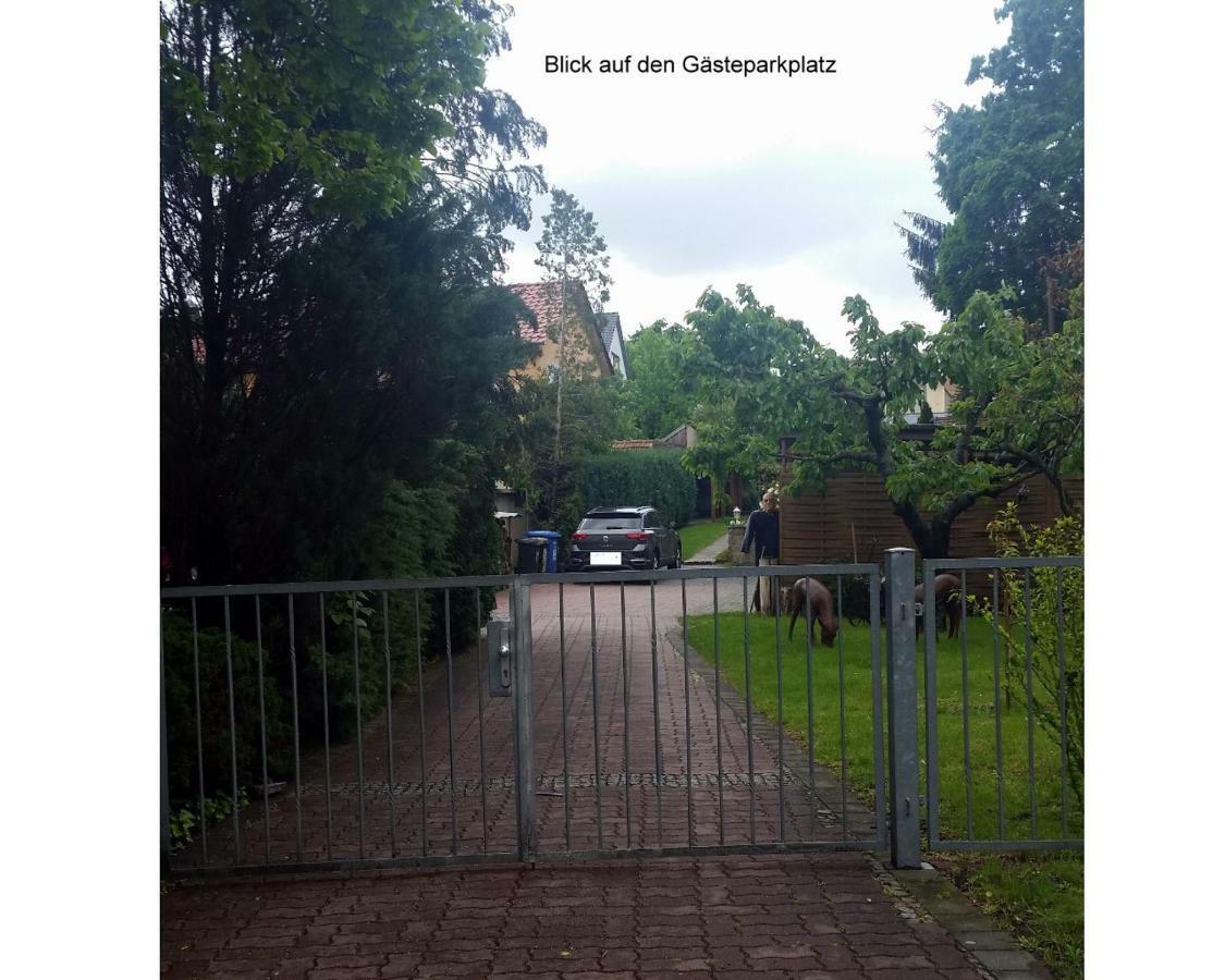 Ferienwohnung Gerlach Drezno Zewnętrze zdjęcie
