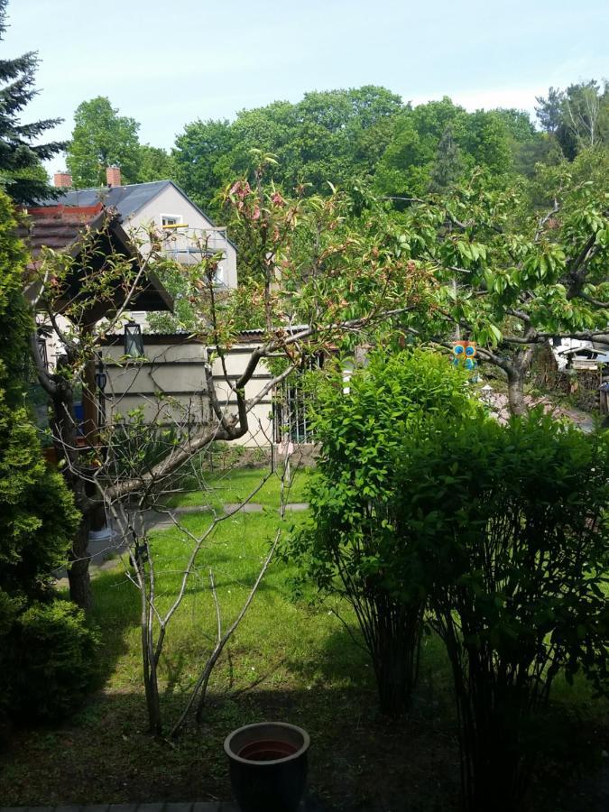 Ferienwohnung Gerlach Drezno Zewnętrze zdjęcie